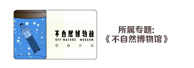 不自然博物馆 同学会 第33页