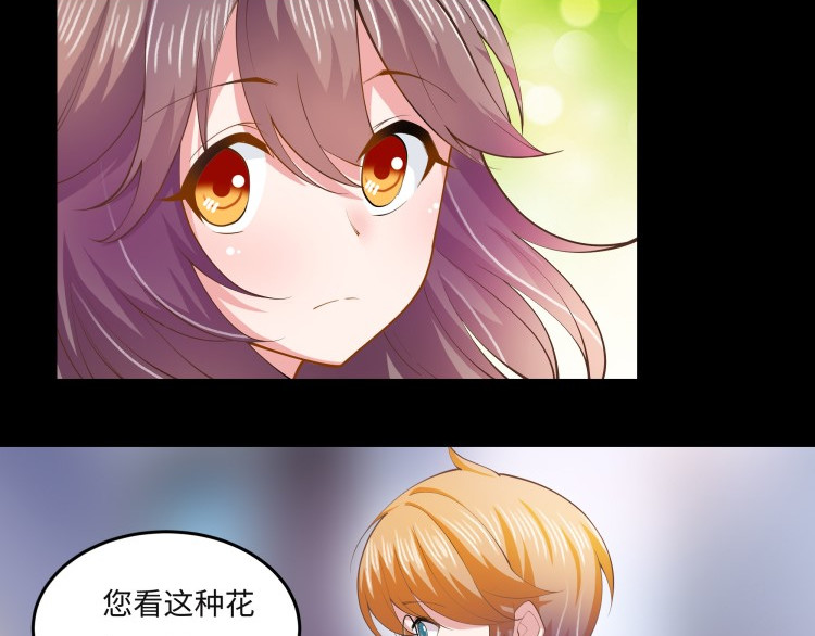 花之熊物语 第三回  一见钟情 第42页