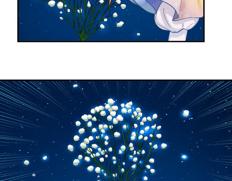 花之熊物语 第六回 神秘的十字纹身 第12页