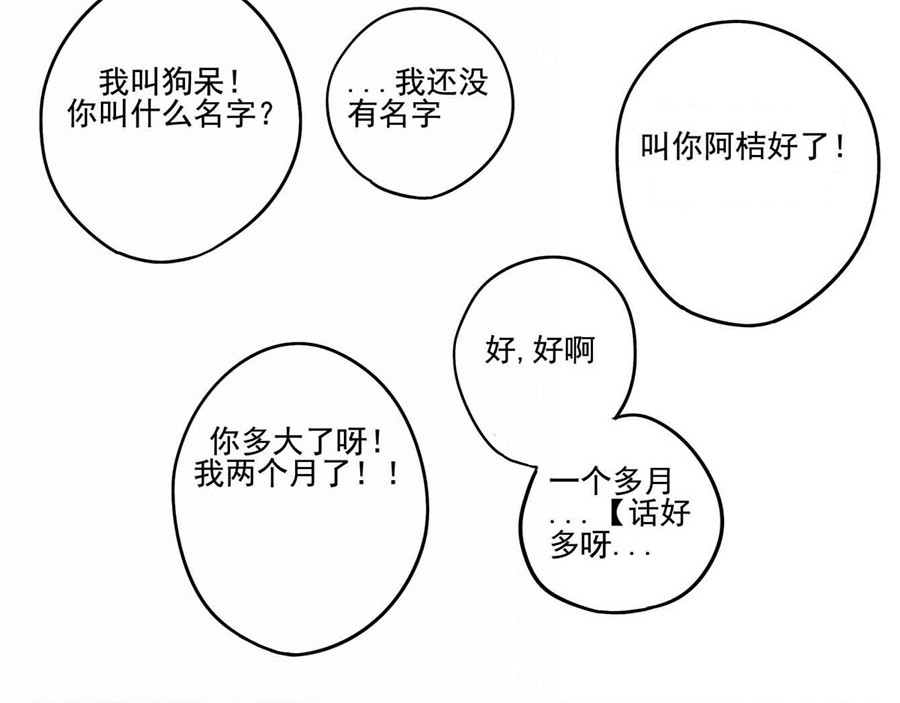 废柴狐阿桔 第1-5话 第21页