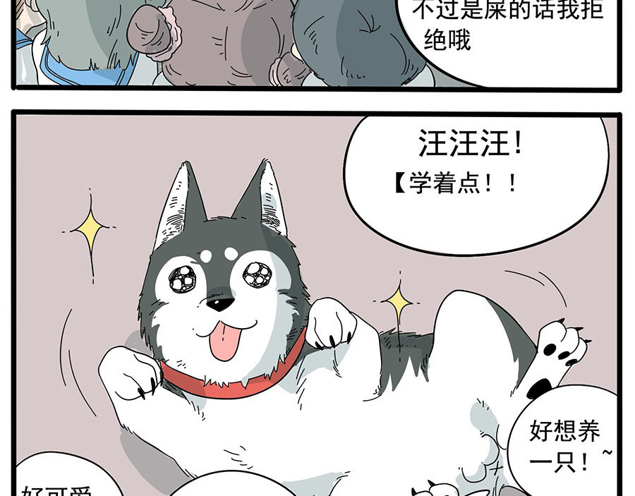 废柴狐阿桔 第6话 第13页