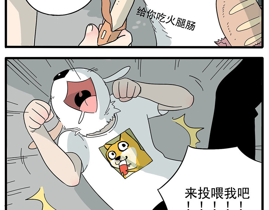 废柴狐阿桔 第6话 第15页