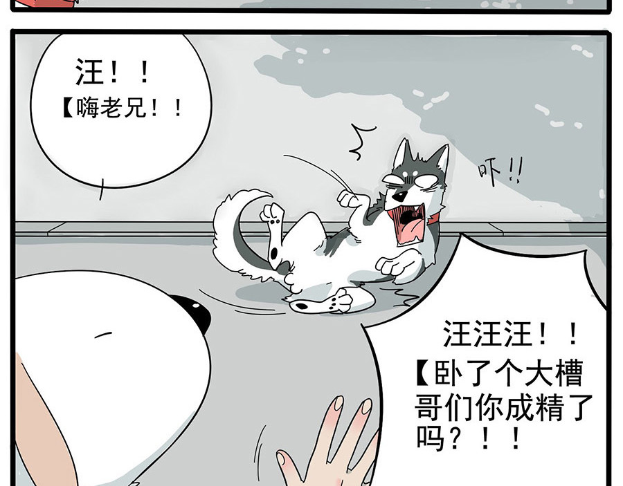 废柴狐阿桔 第6话 第4页
