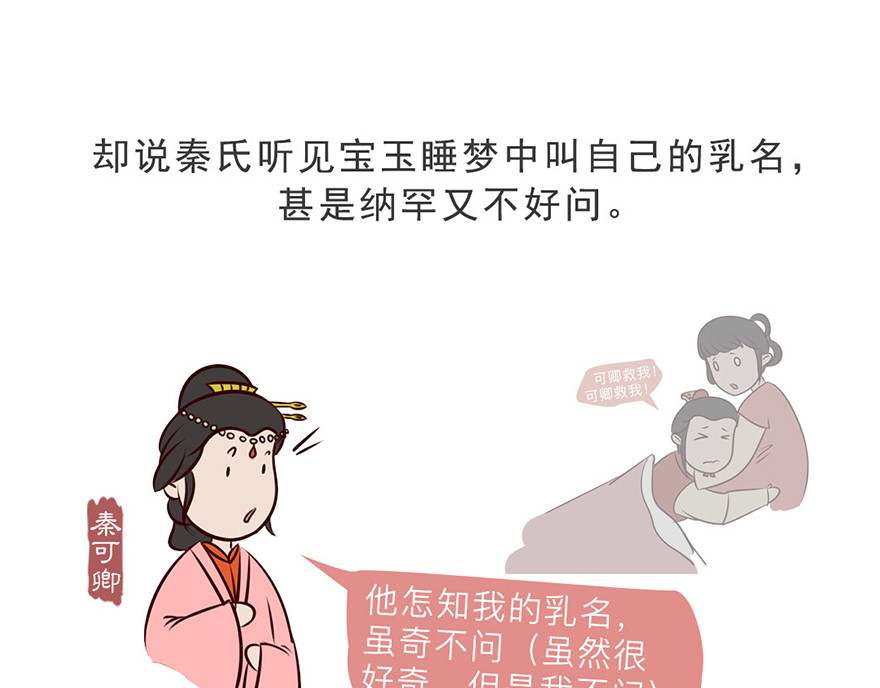 《红楼梦》漫画 第六回 第4页