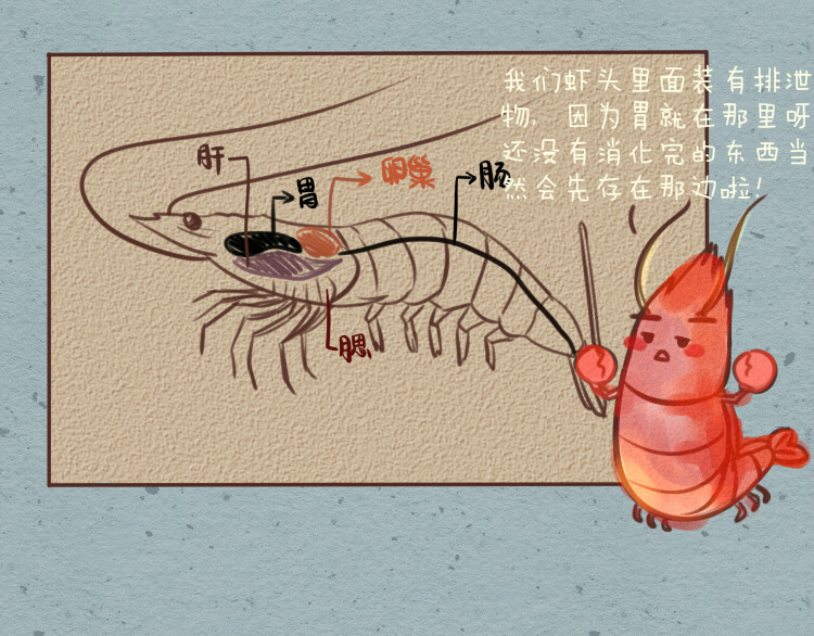 妈，这些食物好疯狂！ 005 脑子有shi渣男包菜 第3页
