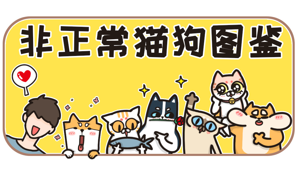 非正常猫狗图鉴 第1页