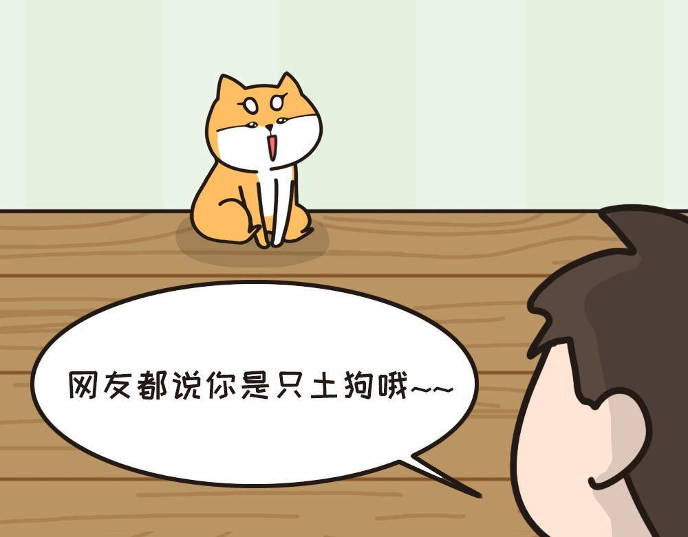 非正常猫狗图鉴 第二话 第29页