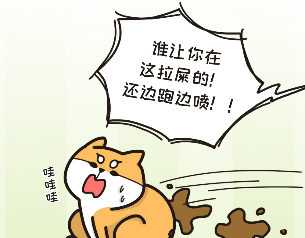 非正常猫狗图鉴 第二话 第36页