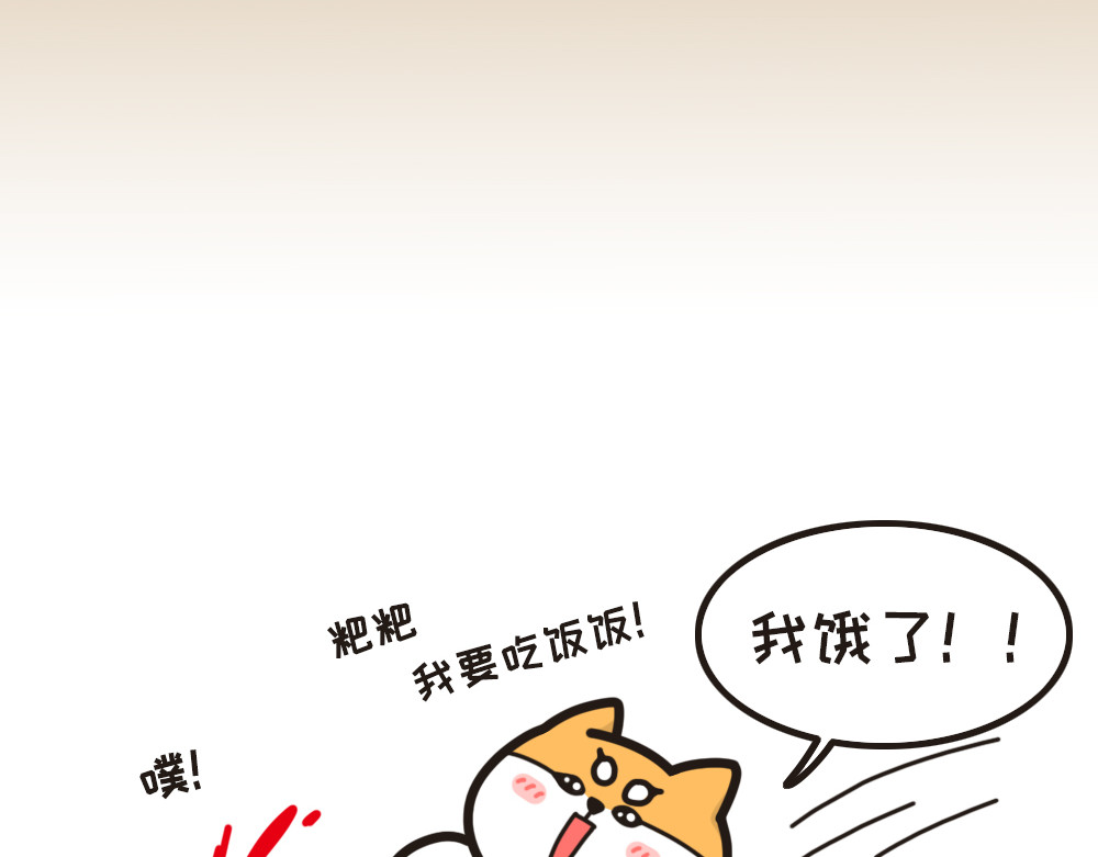 非正常猫狗图鉴 第二话 第42页