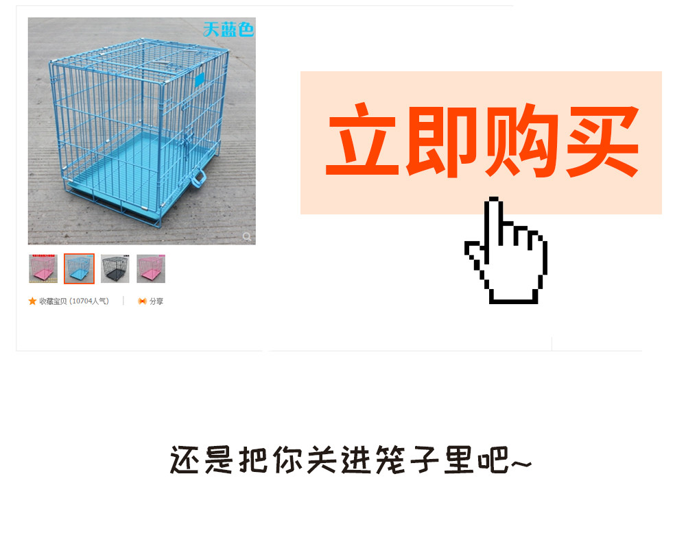 非正常猫狗图鉴 第二话 第48页