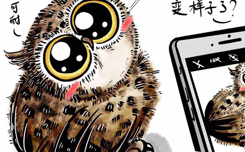 猫头鹰睡不着 我在家里捡到你 第15页