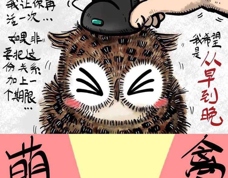 猫头鹰睡不着 我在家里捡到你 第26页