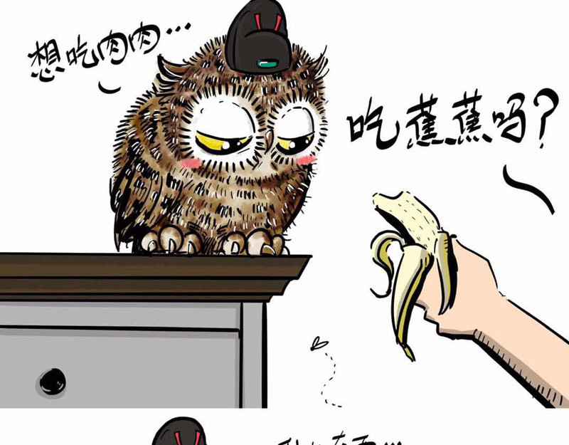 猫头鹰睡不着 我在家里捡到你 第29页