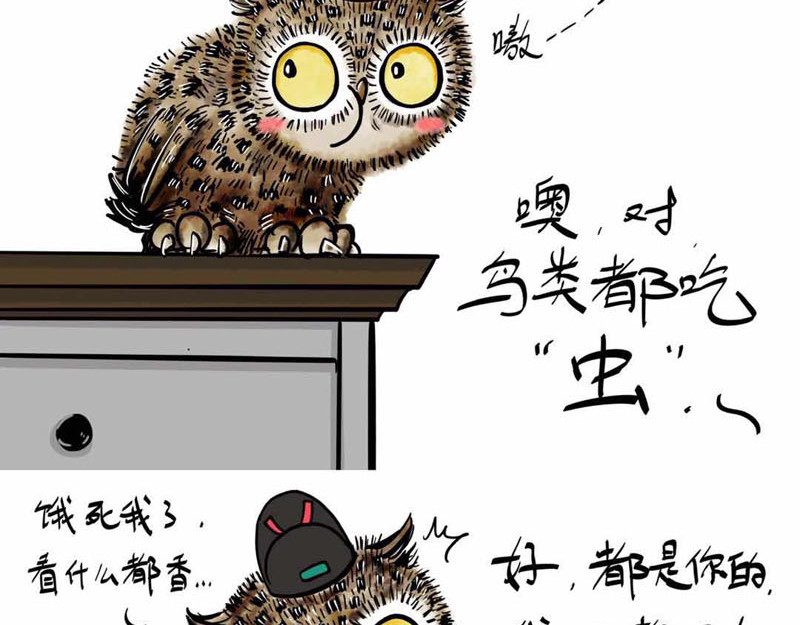 猫头鹰睡不着 我在家里捡到你 第33页