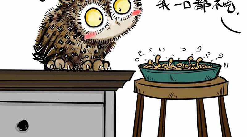 猫头鹰睡不着 我在家里捡到你 第34页