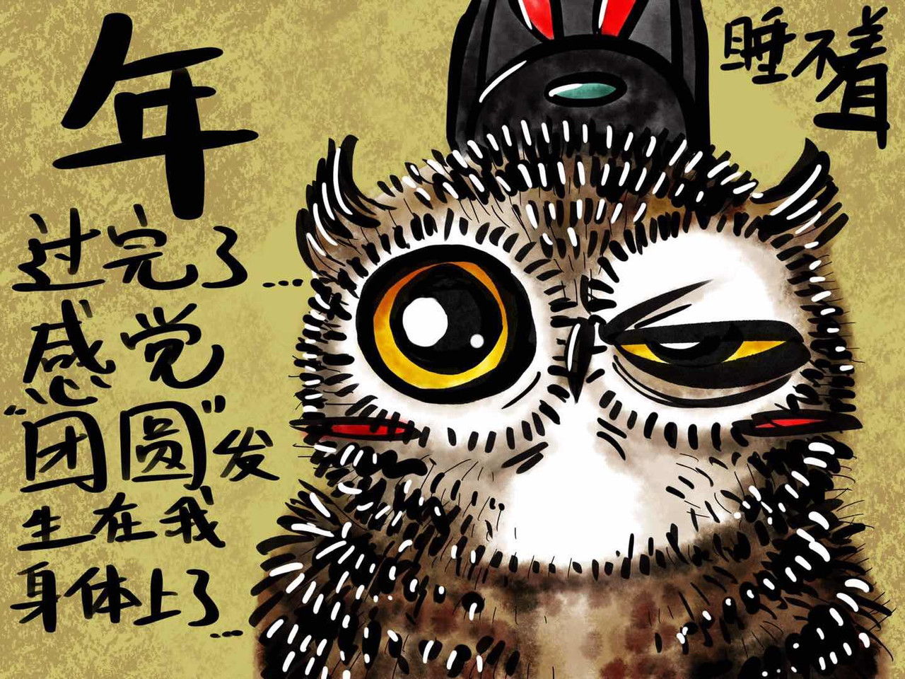 猫头鹰睡不着 我在家里捡到你 第40页