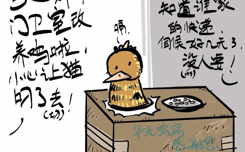 猫头鹰睡不着 我在家里捡到你 第10页