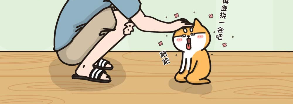 非正常猫狗图鉴 第四话 第15页