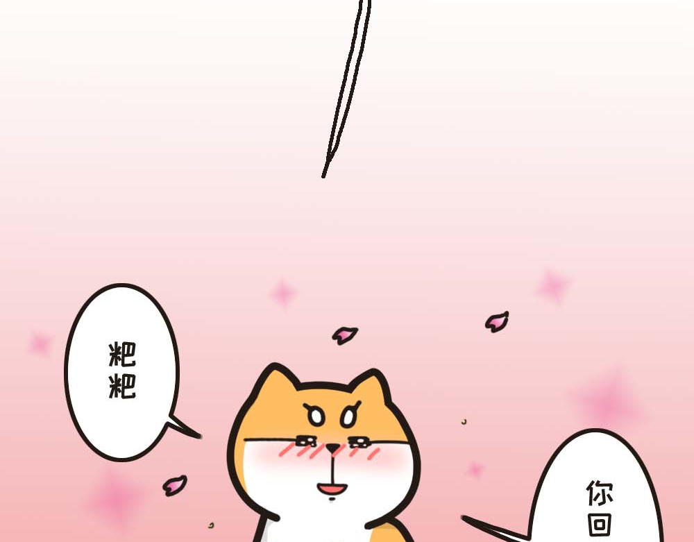 非正常猫狗图鉴 第四话 第8页