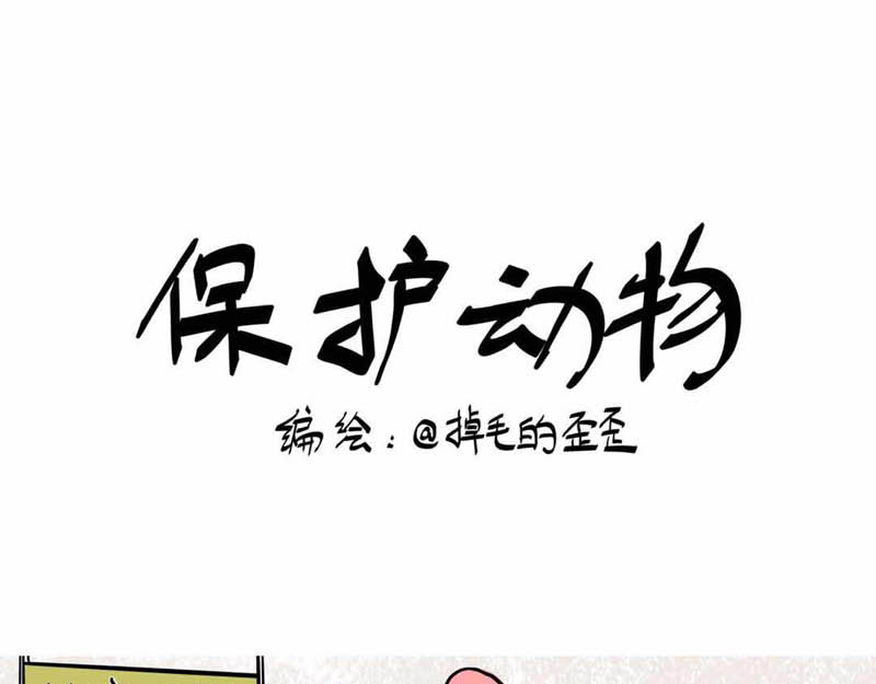 猫头鹰睡不着 葛优躺 第12页