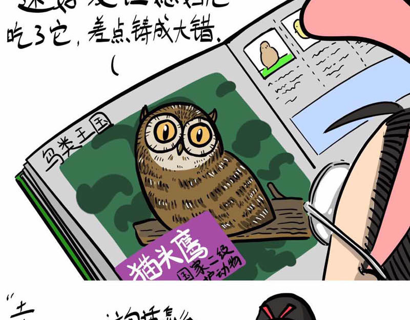 猫头鹰睡不着 葛优躺 第14页