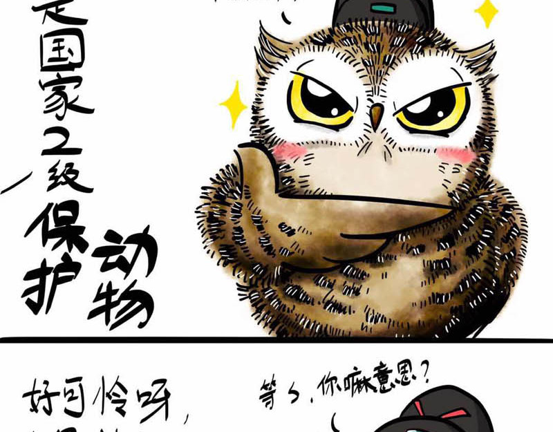 猫头鹰睡不着 葛优躺 第16页