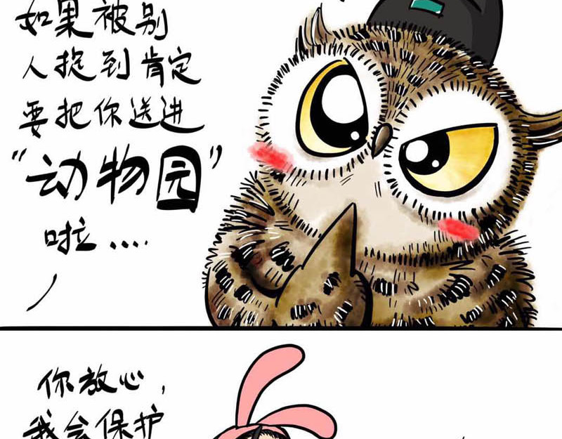 猫头鹰睡不着 葛优躺 第17页