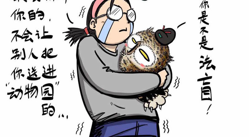 猫头鹰睡不着 葛优躺 第18页