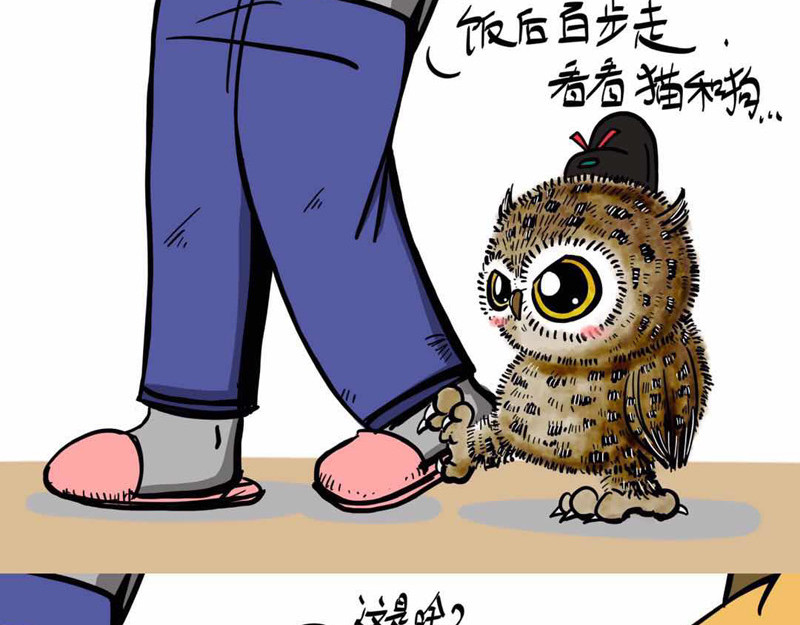 猫头鹰睡不着 葛优躺 第8页