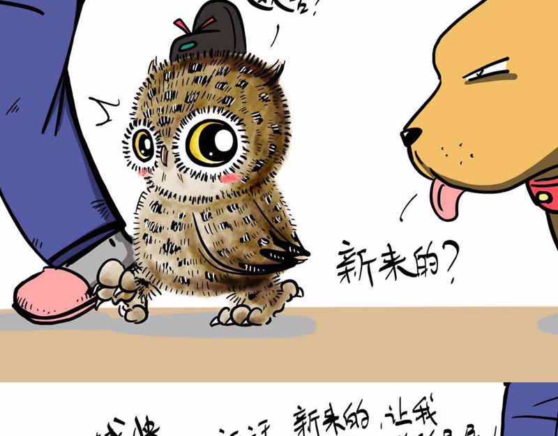 猫头鹰睡不着 葛优躺 第9页