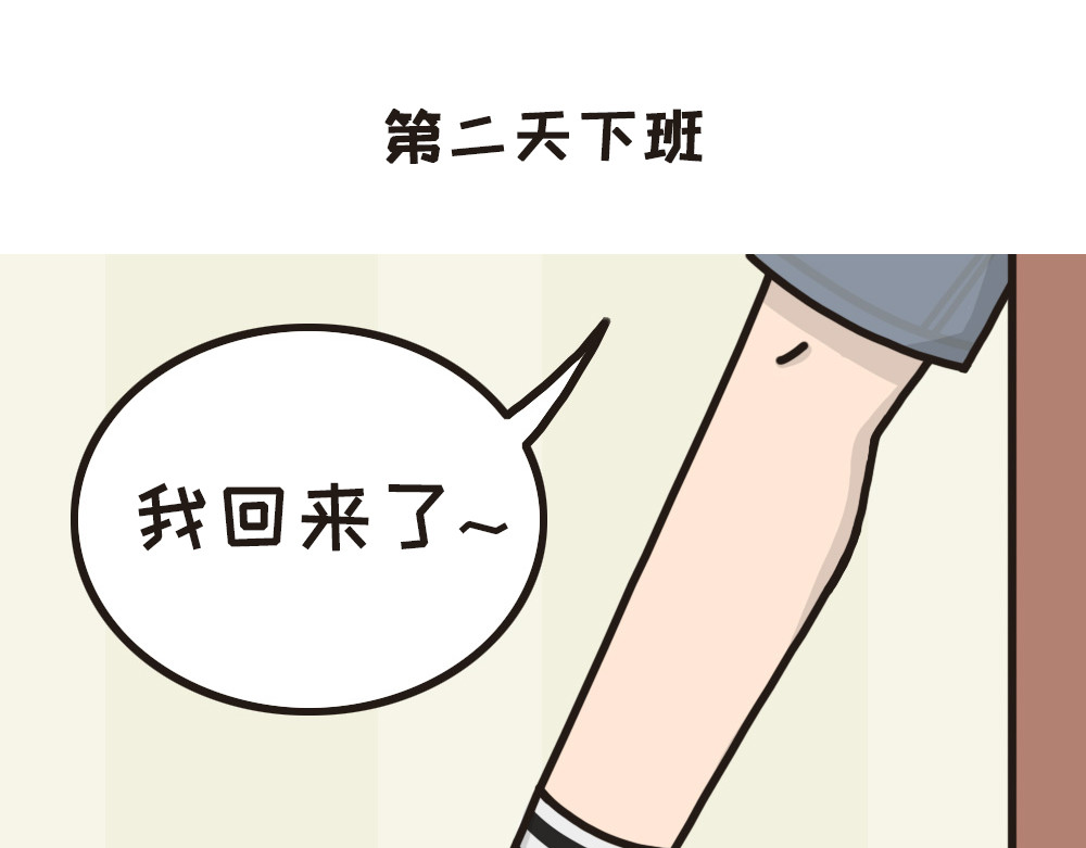 非正常猫狗图鉴 第三话 第2页