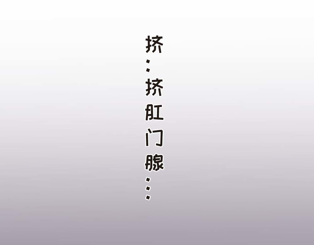 非正常猫狗图鉴 第三话 第46页
