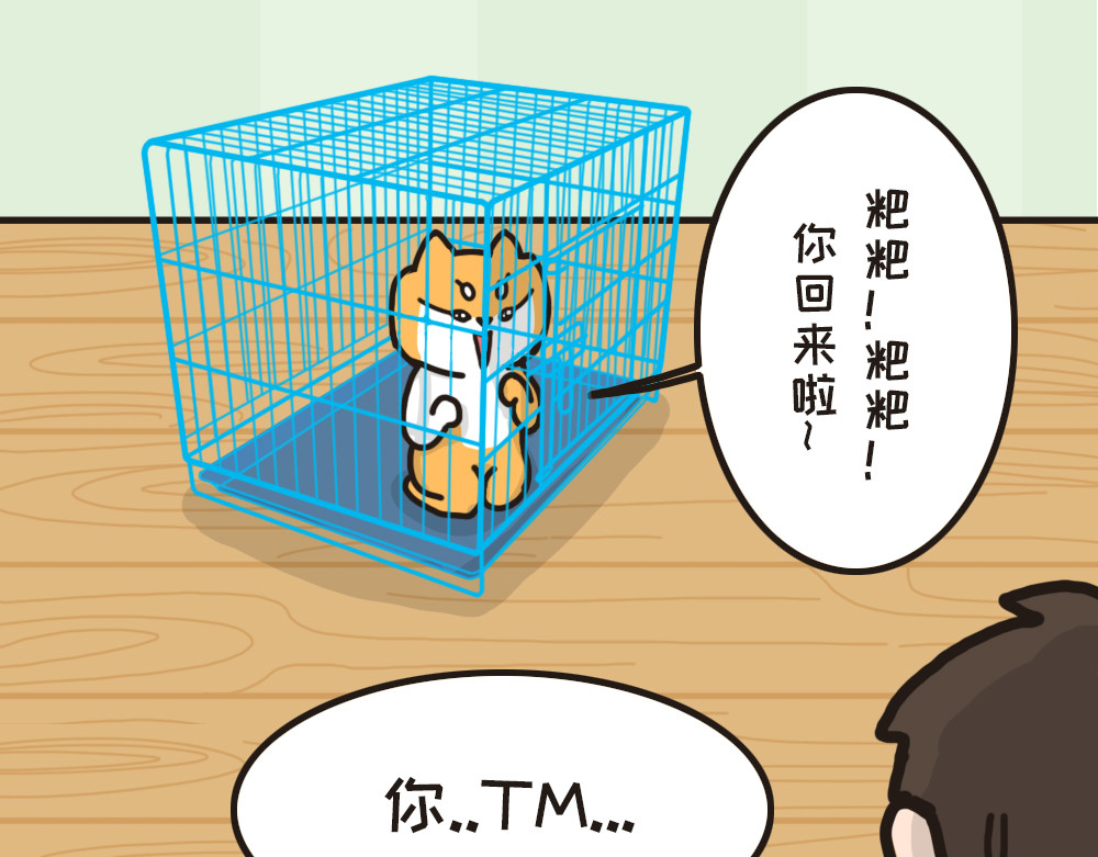 非正常猫狗图鉴 第三话 第7页