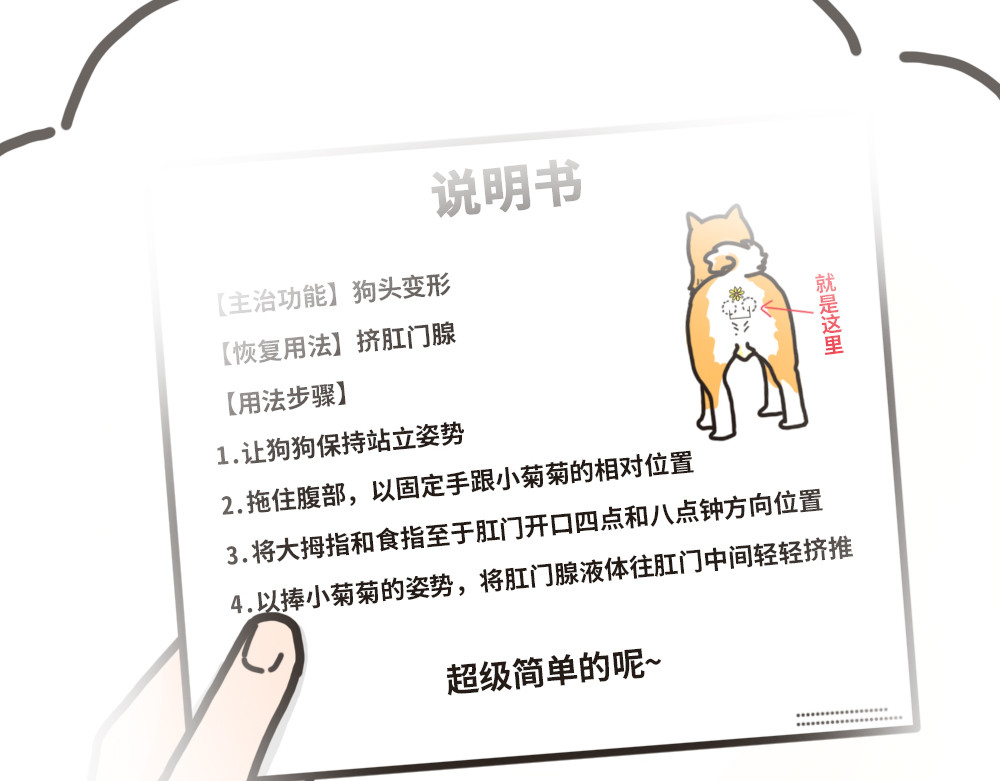 非正常猫狗图鉴 第六话 第2页