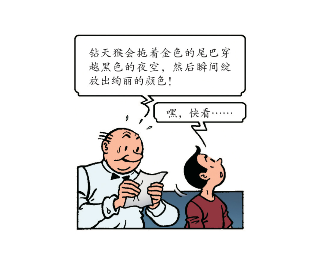 苏苏和维维历险记 神奇的烟花 第16页