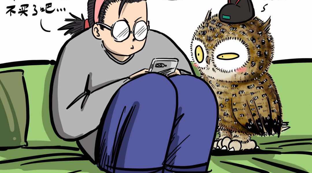 猫头鹰睡不着 给小夜猫子做个窝 第13页
