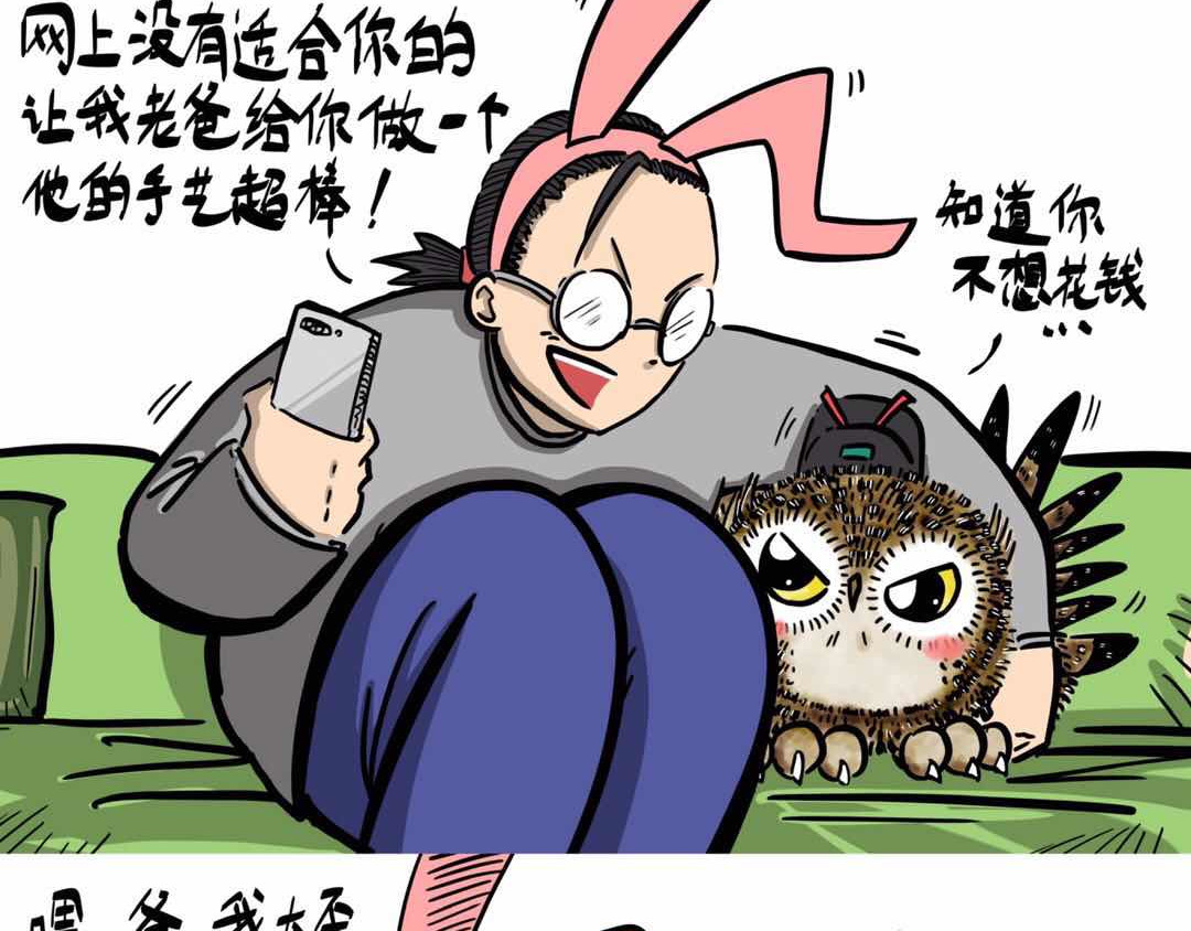 猫头鹰睡不着 给小夜猫子做个窝 第15页