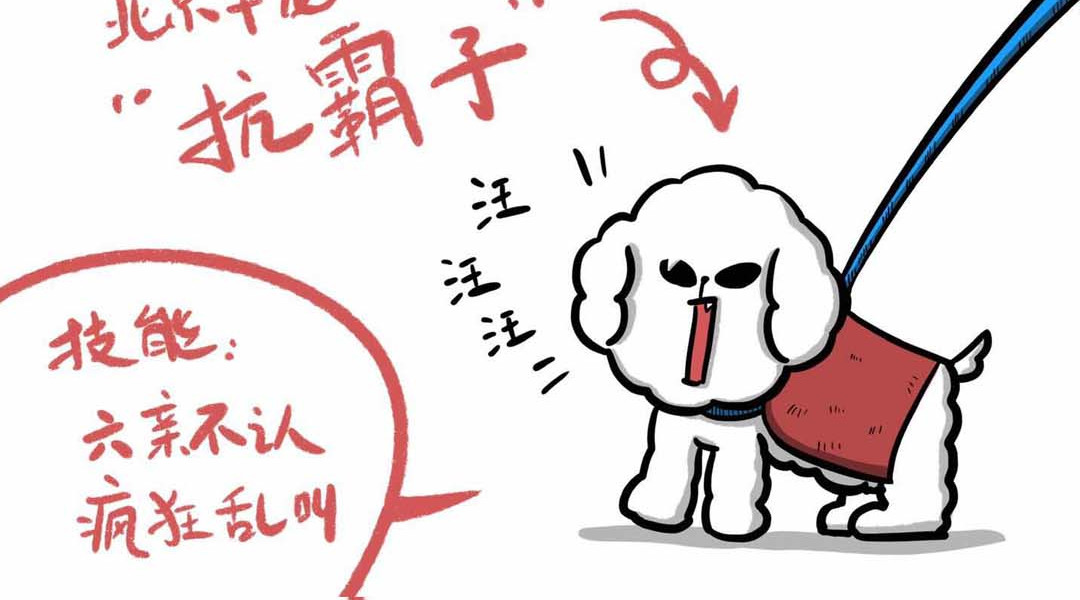 猫头鹰睡不着 给小夜猫子做个窝 第27页