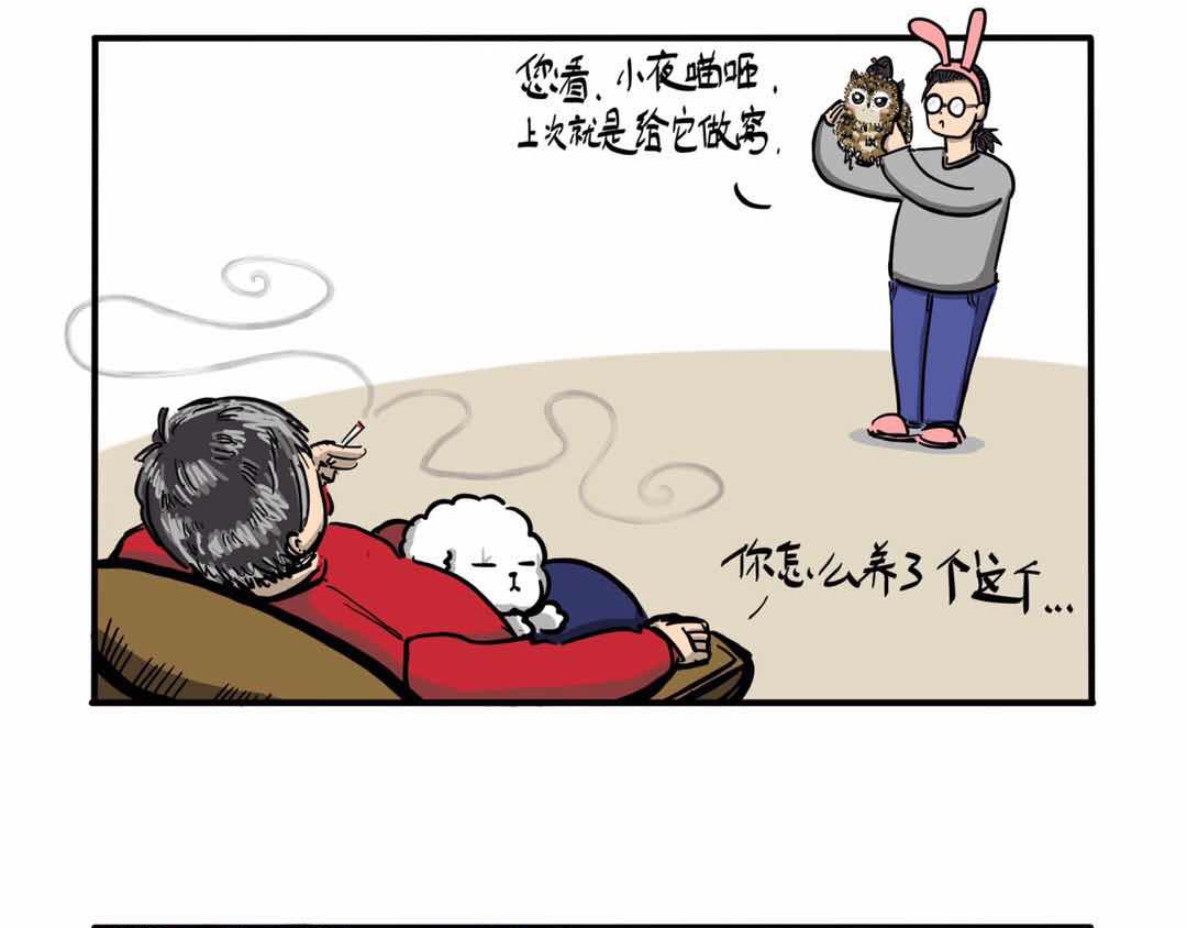 猫头鹰睡不着 给小夜猫子做个窝 第30页