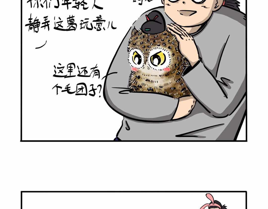 猫头鹰睡不着 给小夜猫子做个窝 第32页