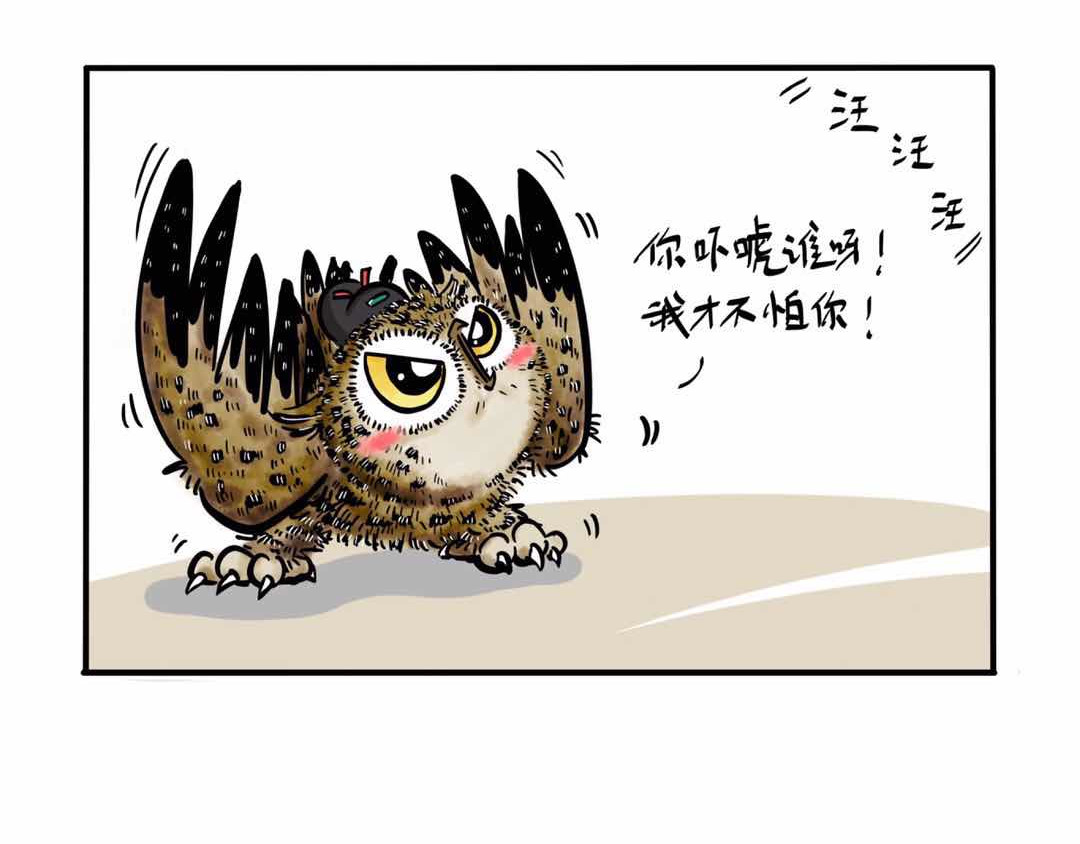 猫头鹰睡不着 给小夜猫子做个窝 第35页