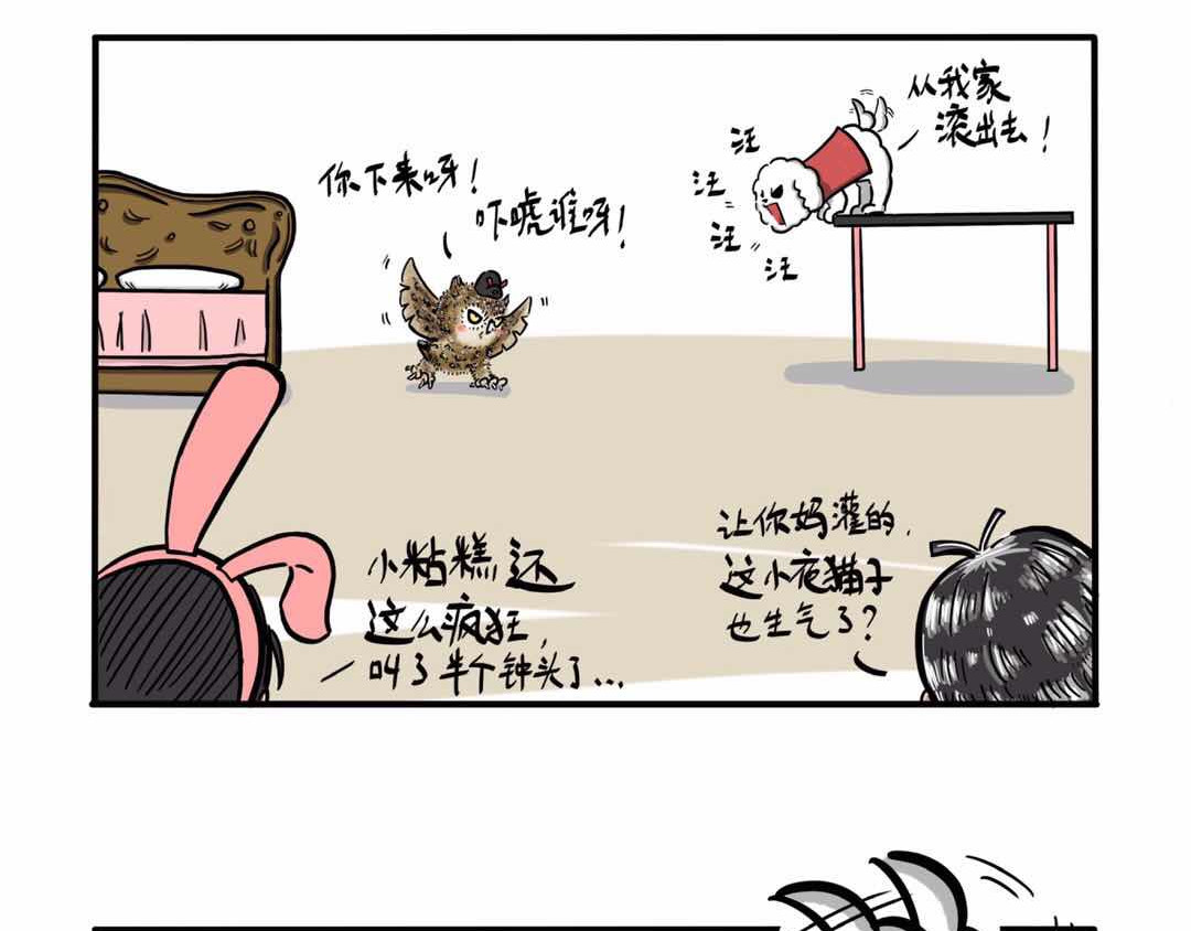 猫头鹰睡不着 给小夜猫子做个窝 第36页