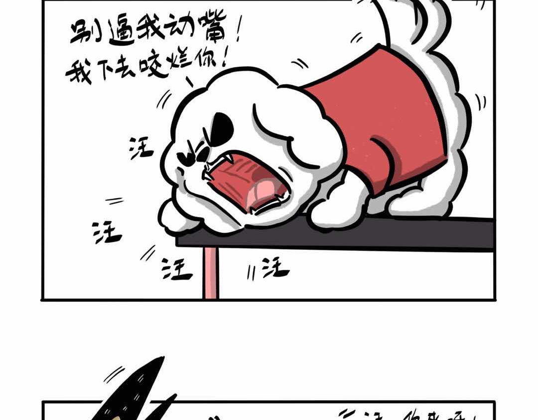 猫头鹰睡不着 给小夜猫子做个窝 第37页