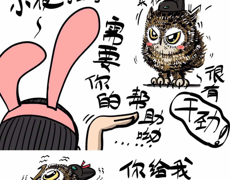 猫头鹰睡不着 给小夜猫子做个窝 第5页