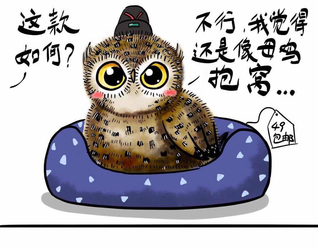 猫头鹰睡不着 给小夜猫子做个窝 第8页