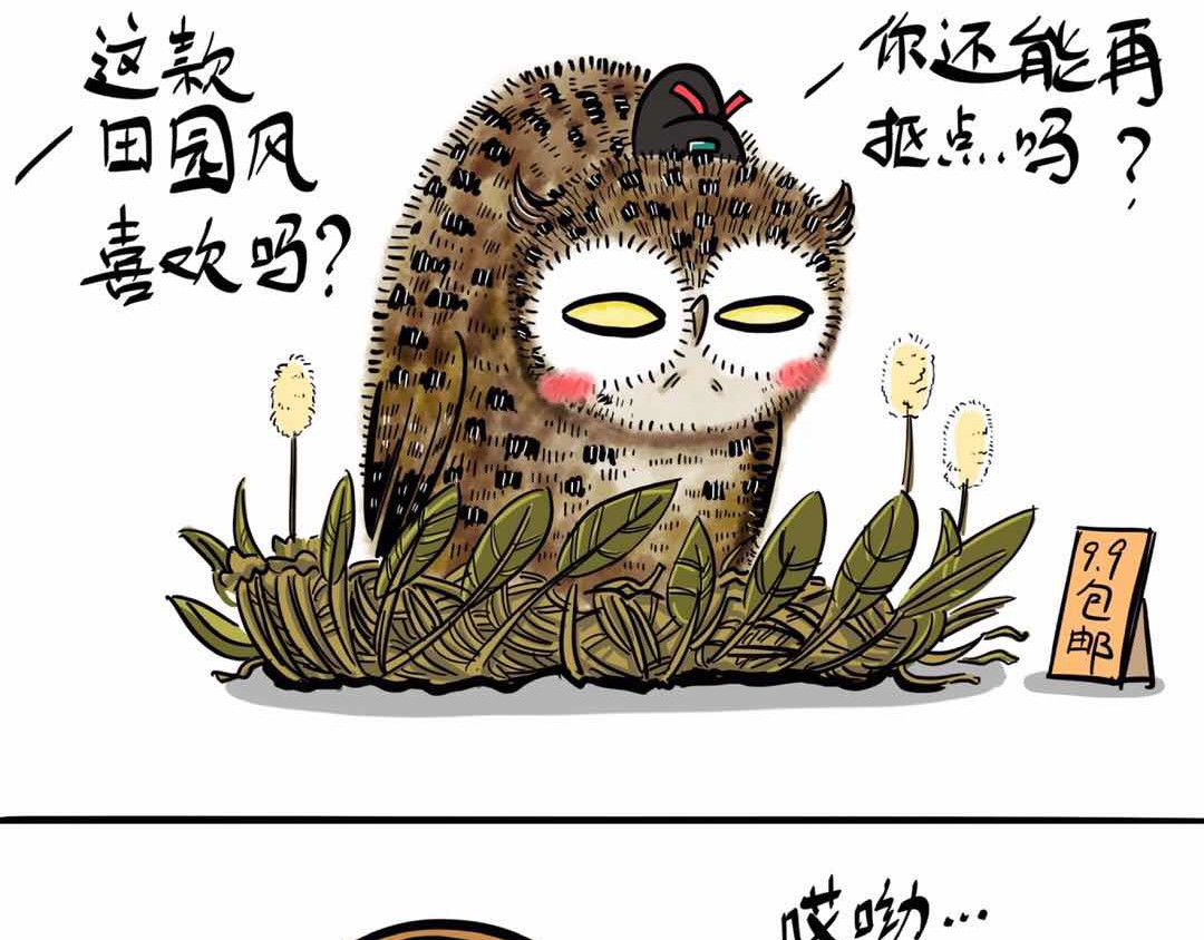 猫头鹰睡不着 给小夜猫子做个窝 第9页
