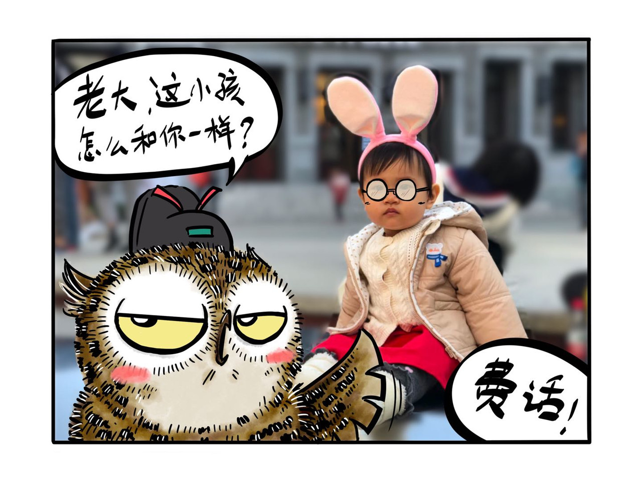 猫头鹰睡不着 屎的问题 第1页
