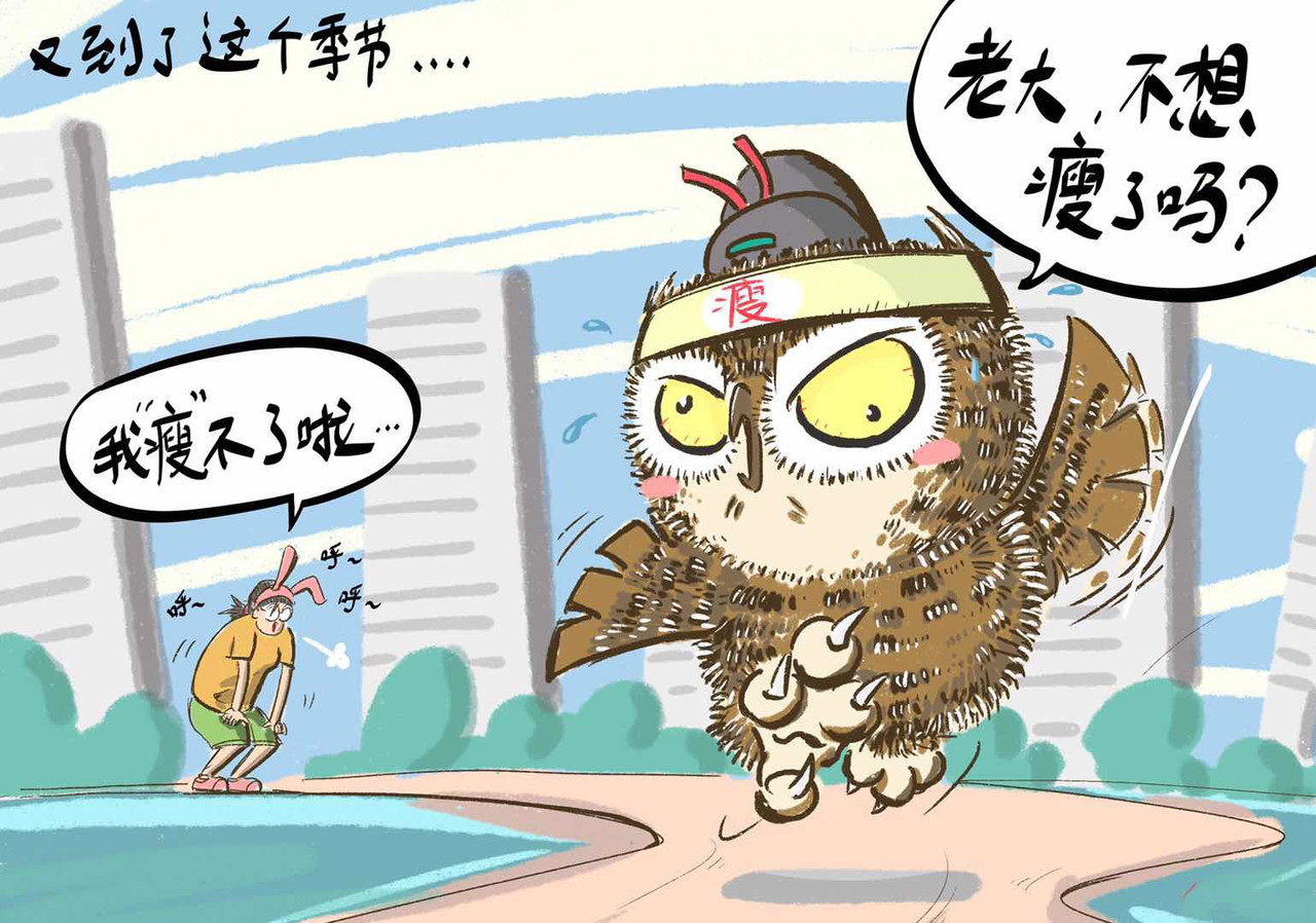 猫头鹰睡不着 屎的问题 第2页