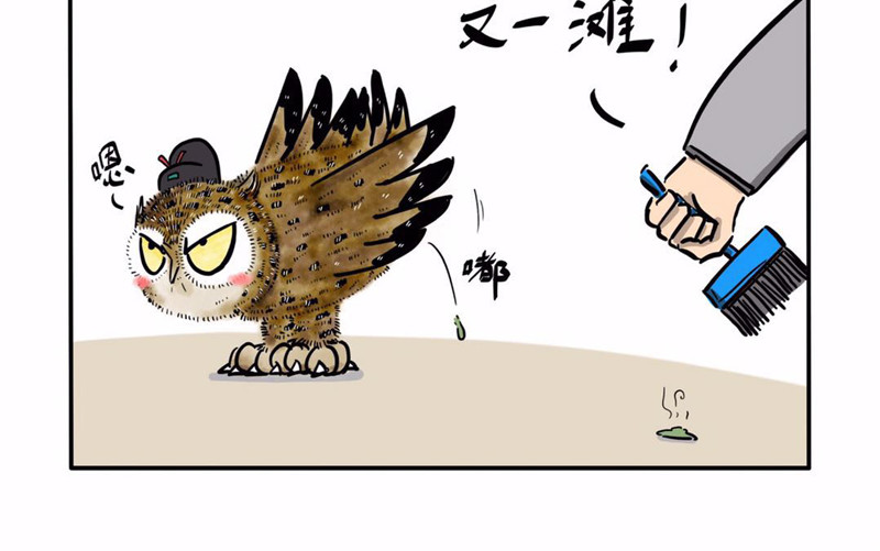 猫头鹰睡不着 屎的问题 第12页