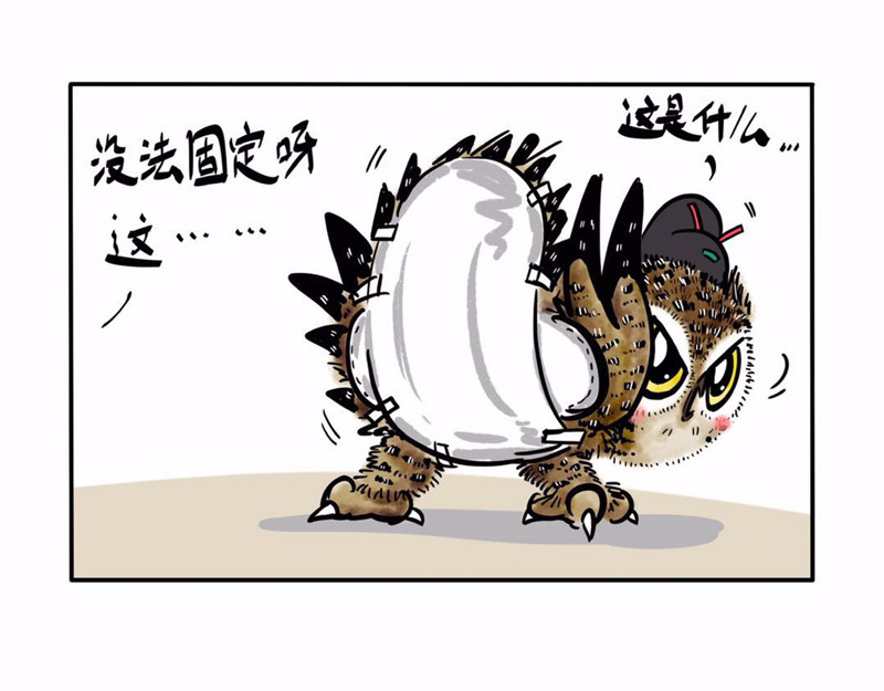 猫头鹰睡不着 屎的问题 第18页